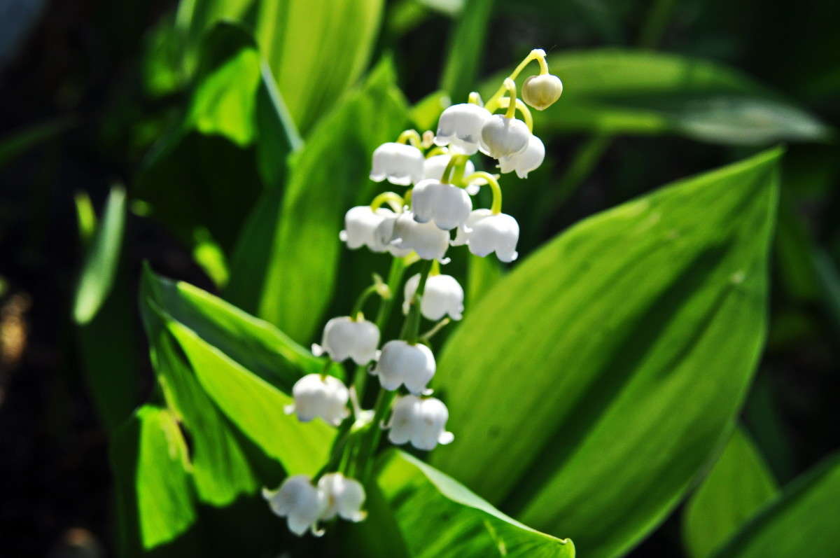 ... ����� alex  �� PhotoGeek.ru #������ ��� �������