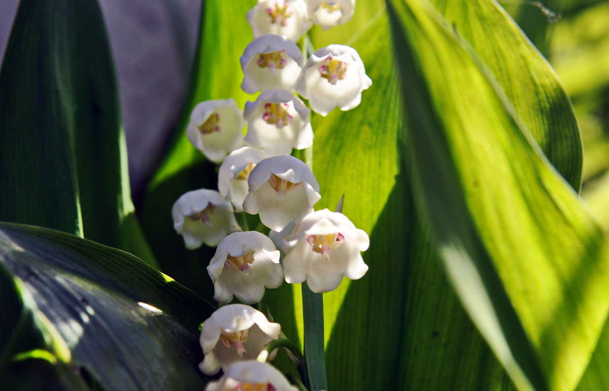 ... ����� alex  �� PhotoGeek.ru #�����