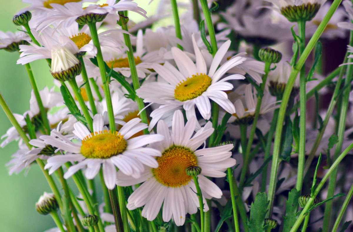 ... ����� alex  �� PhotoGeek.ru #������ ��� �������