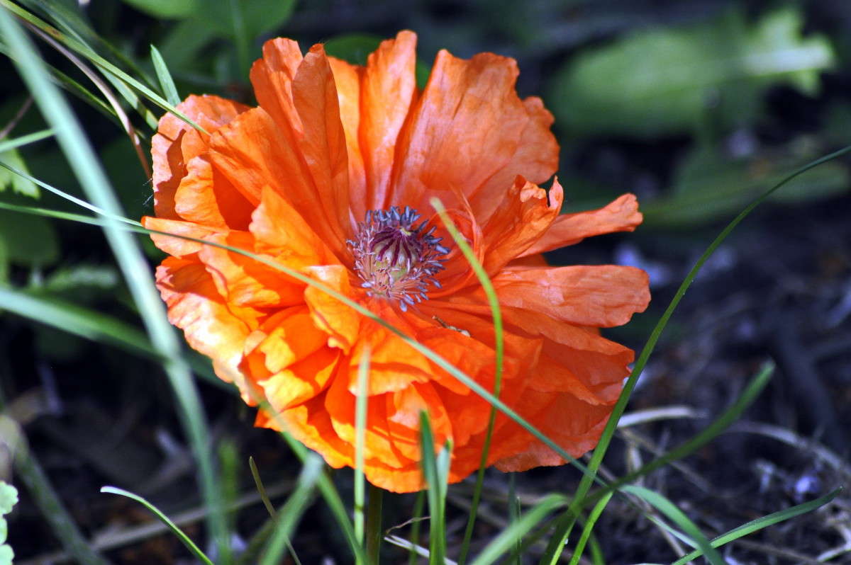 ... ����� alex  �� PhotoGeek.ru #�����