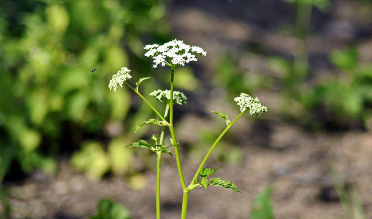 ... ����� alex  �� PhotoGeek.ru #�����