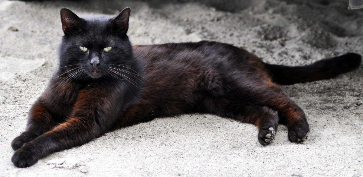 ����� �������!!! ����� alex  �� PhotoGeek.ru #�������� ���