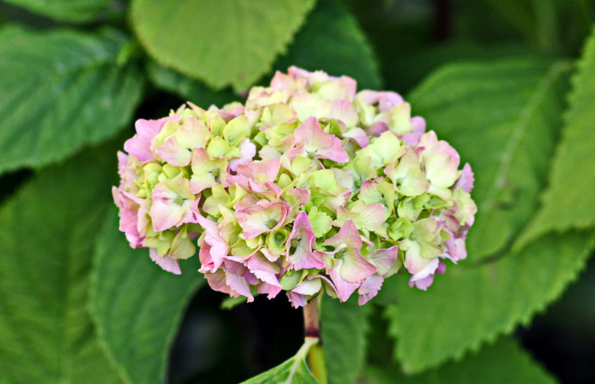 ... ����� alex  �� PhotoGeek.ru #������ ��� �������