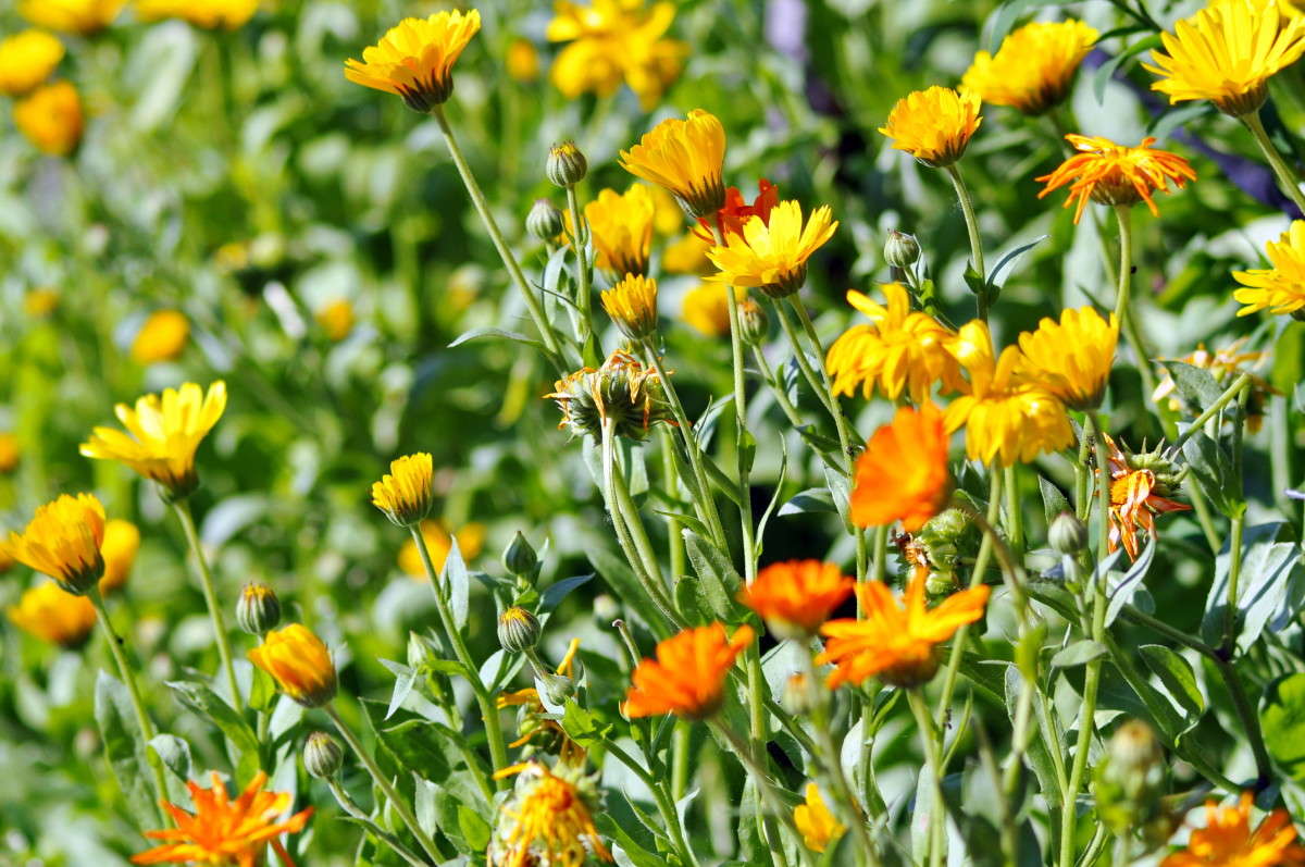 ... ����� alex  �� PhotoGeek.ru #������ ��� �������