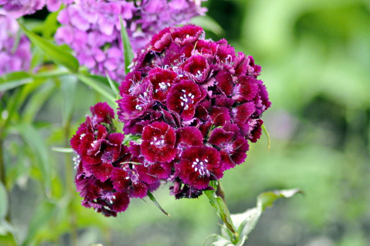 ... ����� alex  �� PhotoGeek.ru #������ ��� �������