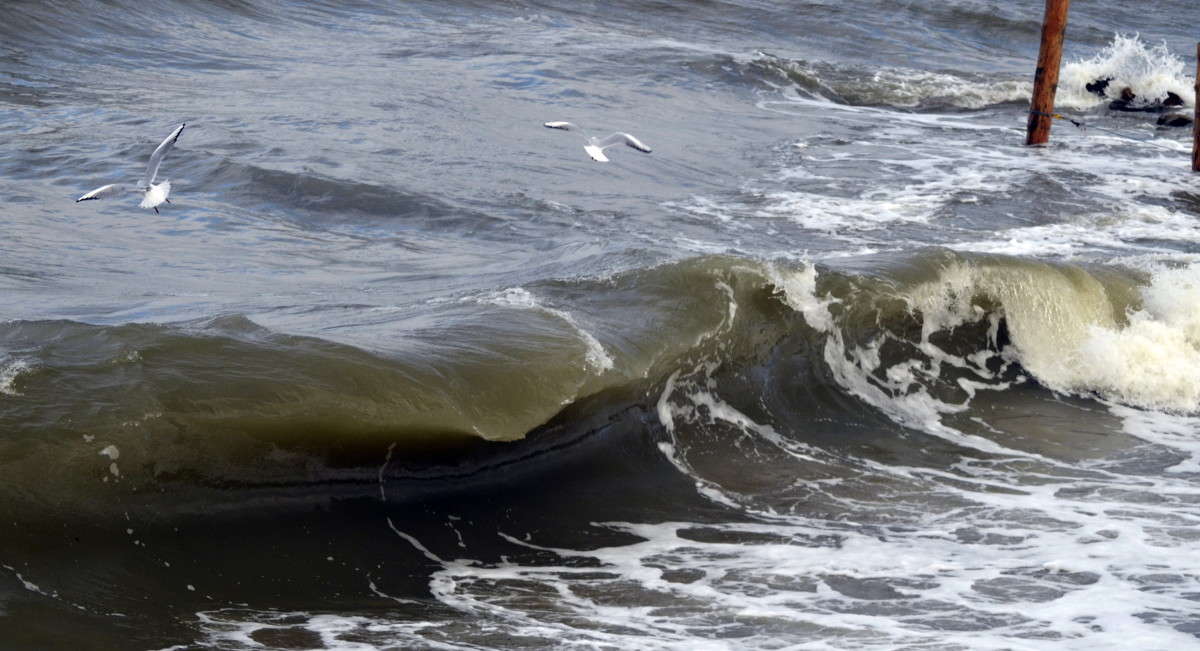 ... ����� alex  �� PhotoGeek.ru #������ ��� �������