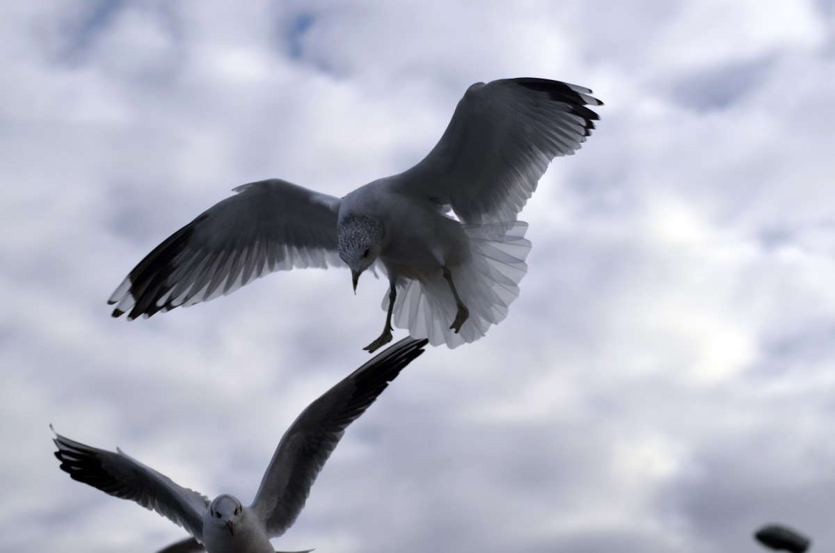 ... ����� alex  �� PhotoGeek.ru #�������� ���