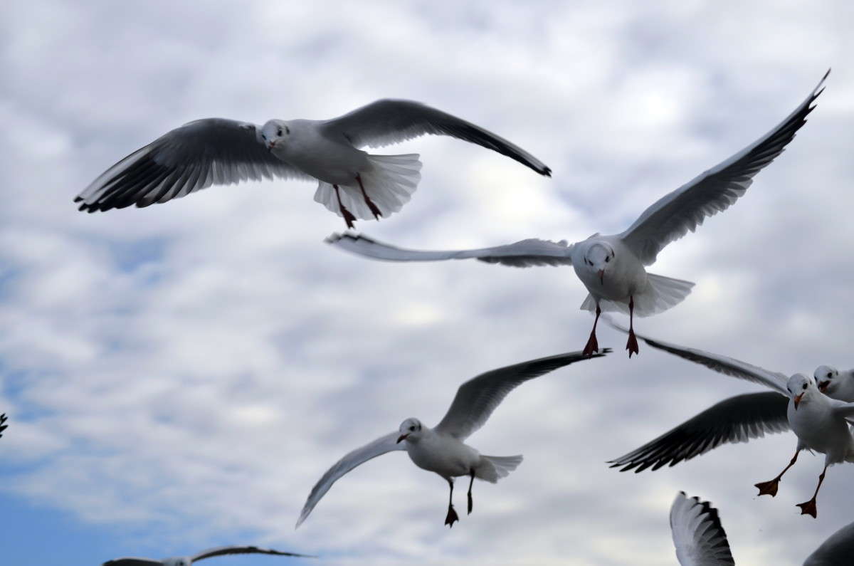 ... ����� alex  �� PhotoGeek.ru #�������� ���