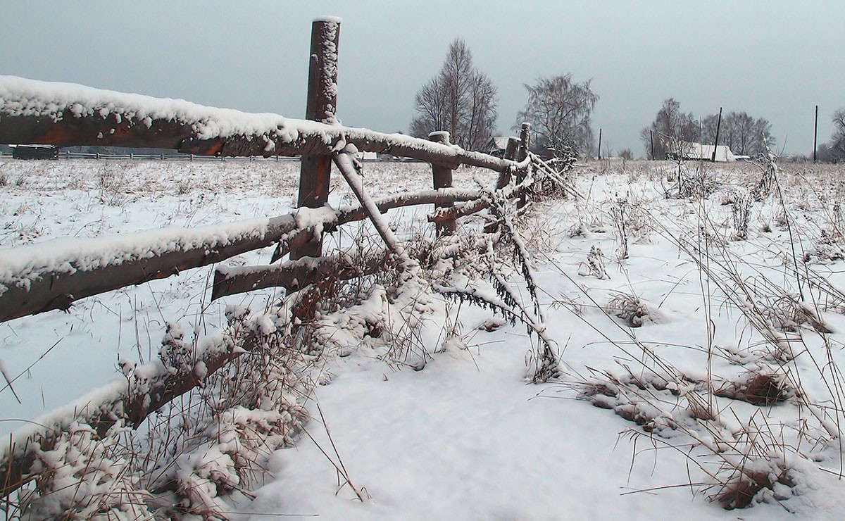 * ����� Gonza  �� PhotoGeek.ru #������ ��� �������