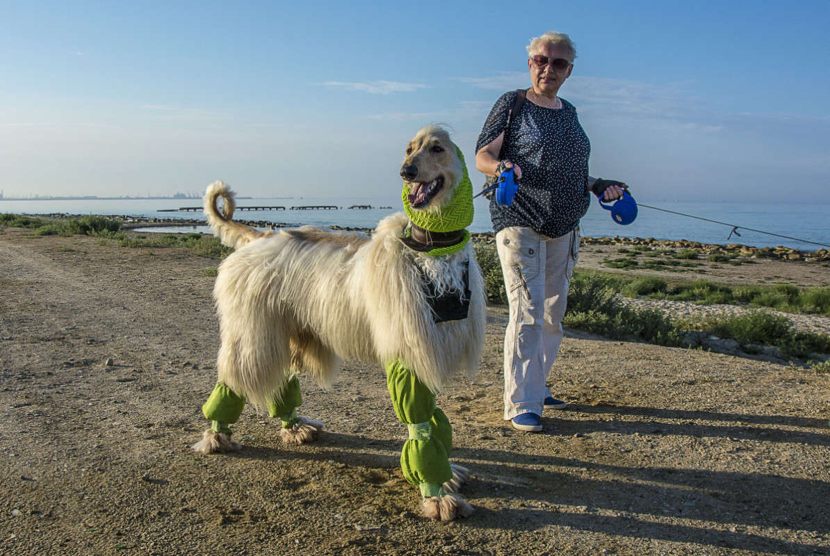 �����������. ����� ����� ������ �� PhotoGeek.ru #�������� ���������� #����� #�������� ���������.