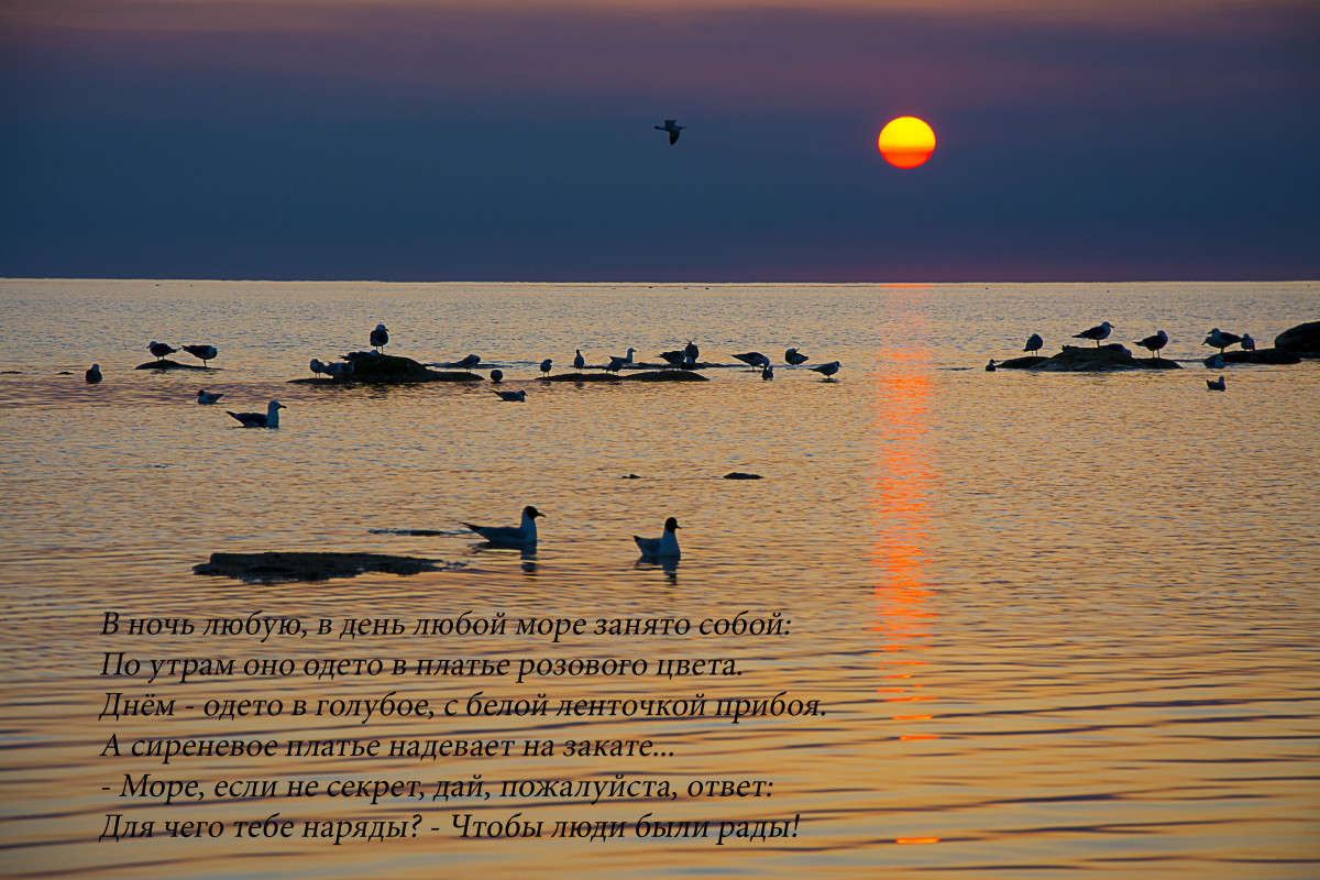 - ����� ���� ���� ����! ����� ����� ������ �� PhotoGeek.ru #������ ��� �������