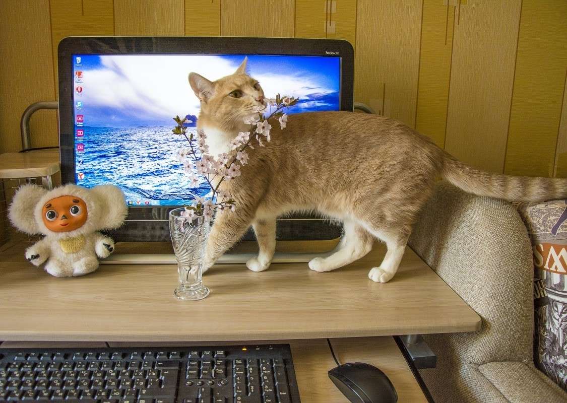 ����� �����. ����� ����� ������ �� PhotoGeek.ru #�������� ����������