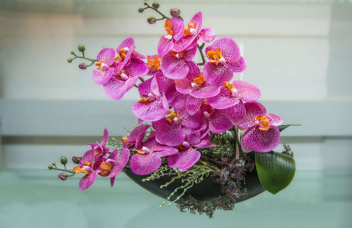 �����. ����� ����� ������ �� PhotoGeek.ru #���������