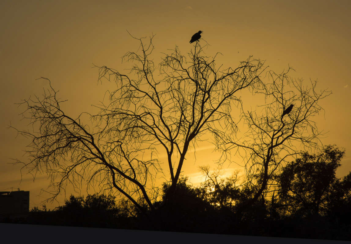 "�����" ���������. ����� ����� ������ �� PhotoGeek.ru #������ ��� �������