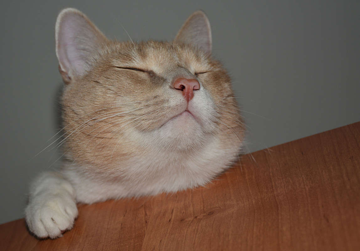 ���� ��� - ��� - �������. ����� ����� ������ �� PhotoGeek.ru #�������� ����������