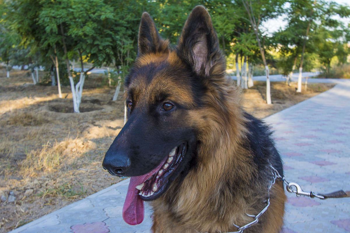 �����. ����� ����� ������ �� PhotoGeek.ru #�������