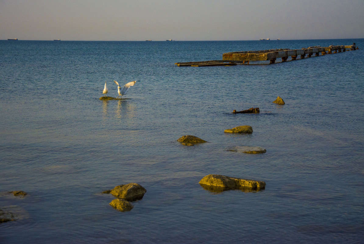 ������ ����. ����� ����� ������ �� PhotoGeek.ru #������ ��� �������