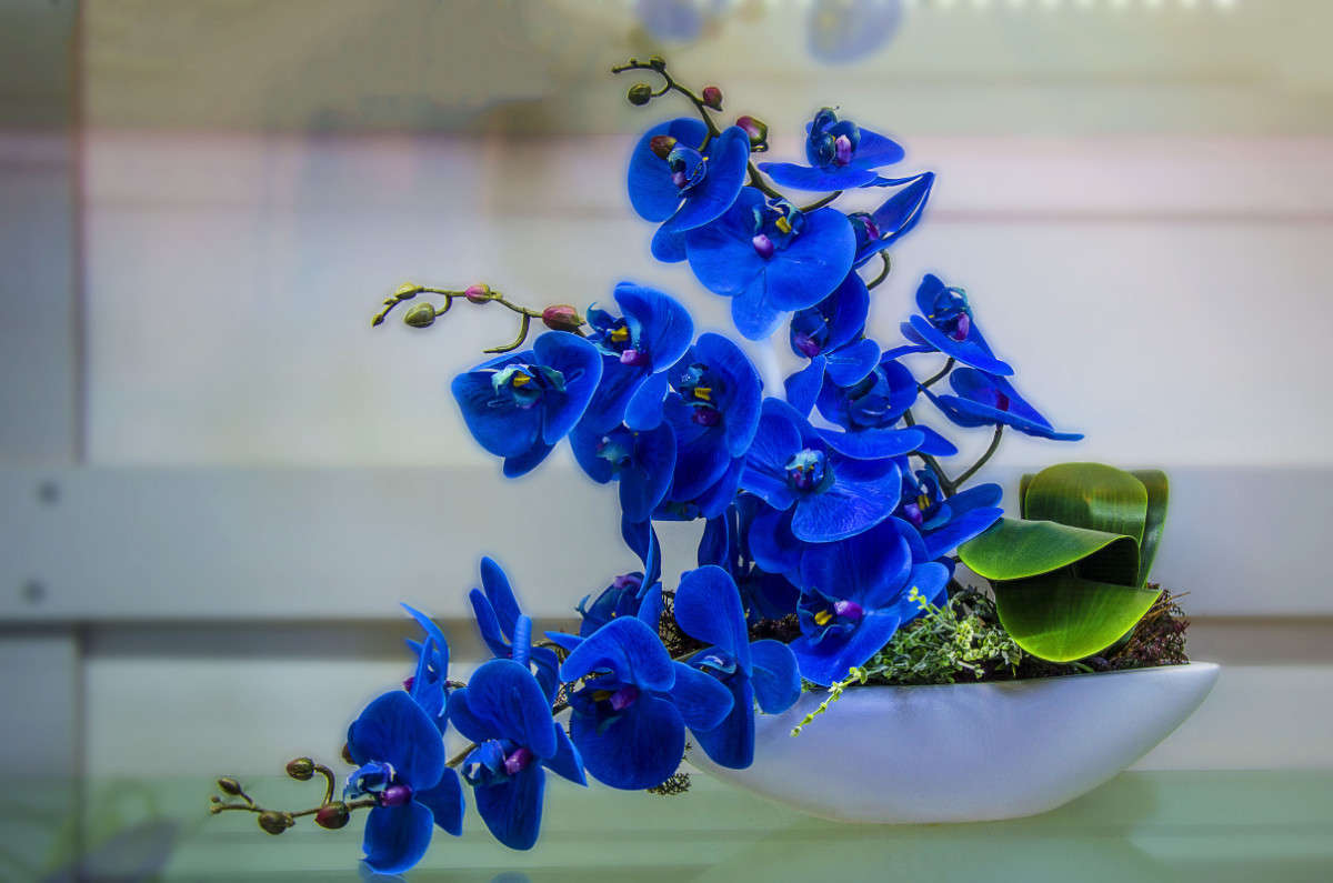 �����. ����� ����� ������ �� PhotoGeek.ru #���������