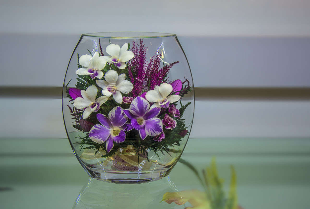 �����. ����� ����� ������ �� PhotoGeek.ru #���������