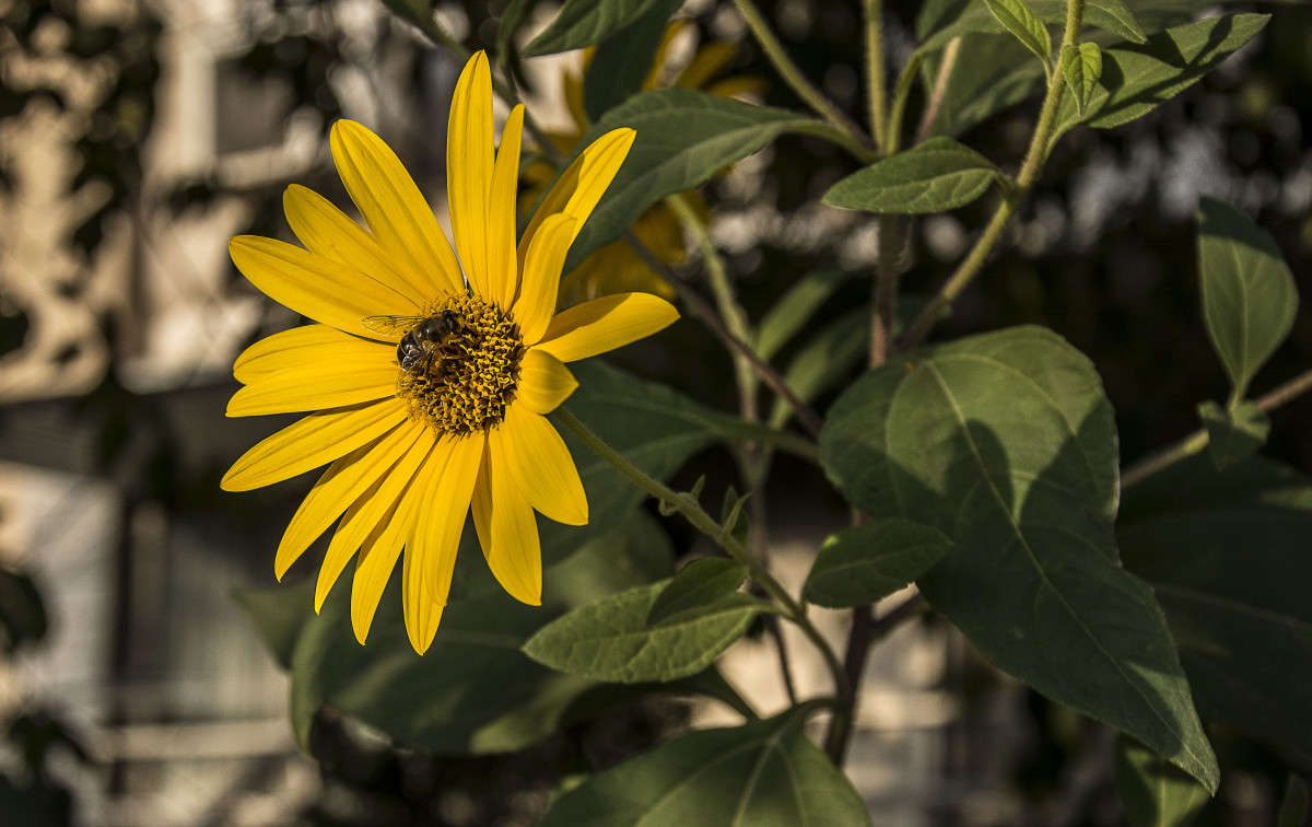 *** ����� ����� ������ �� PhotoGeek.ru #������ ��� �������