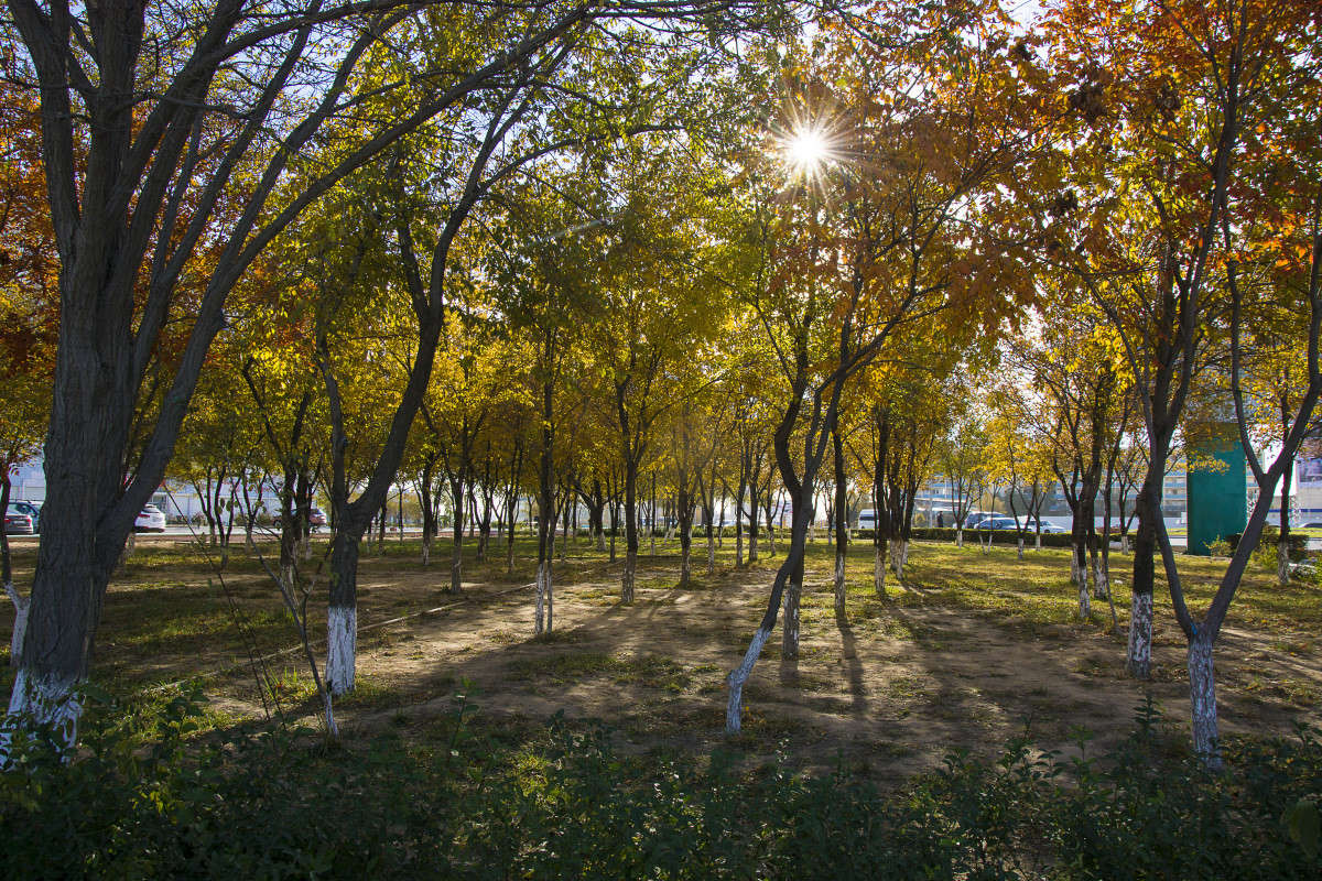 ���� �����. ����� ����� ������ �� PhotoGeek.ru #����� #��������� ������