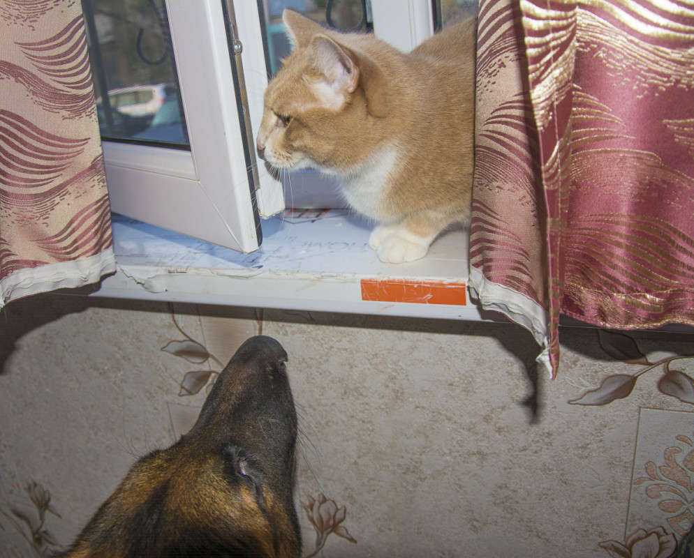 ���� ����� - ����� ������? ����� ����� ������ �� PhotoGeek.ru #�������� ���