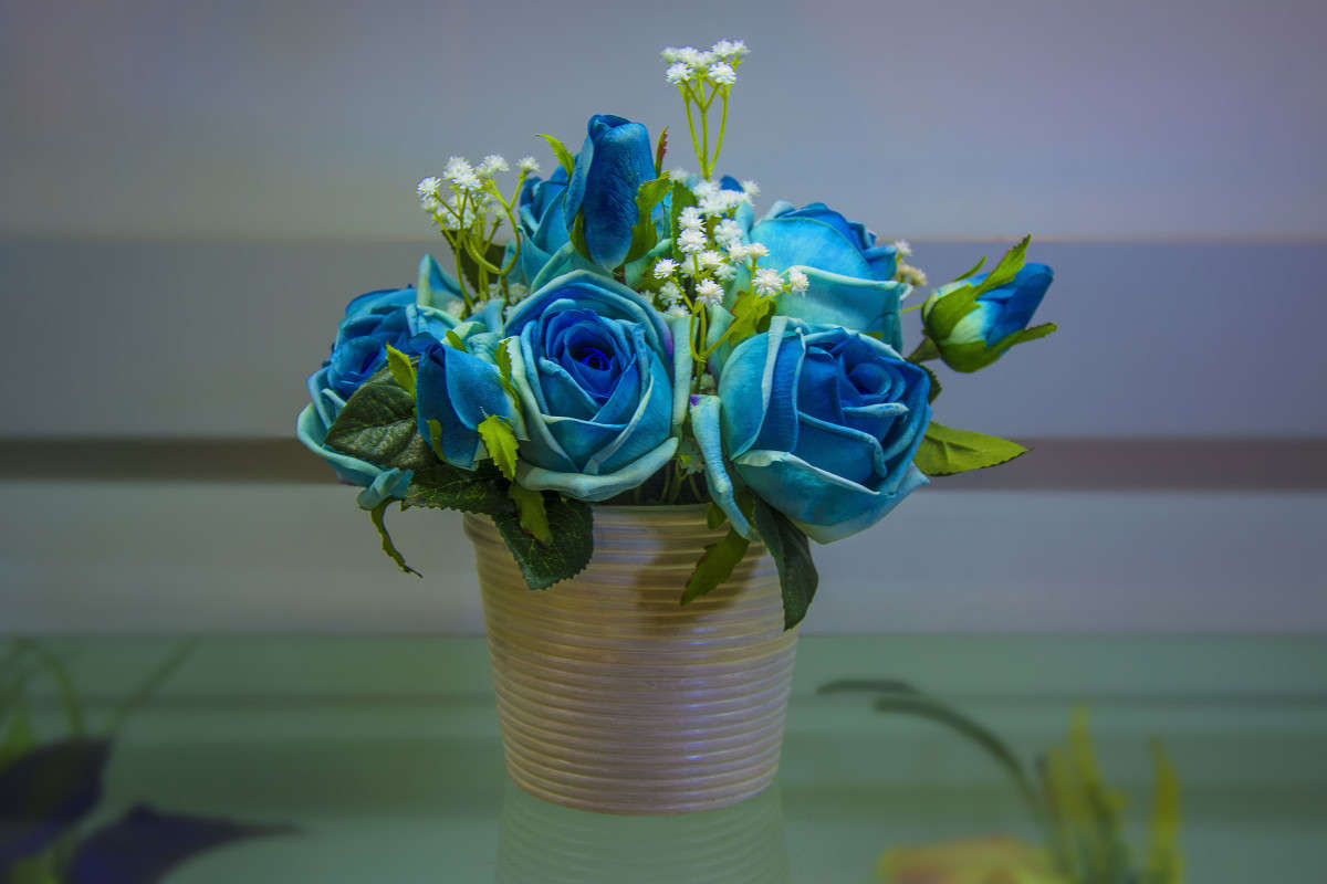 �����. ����� ����� ������ �� PhotoGeek.ru #���������