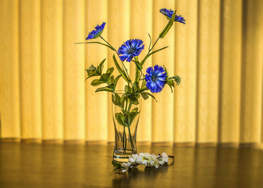 *** ����� ����� ������ �� PhotoGeek.ru #���������