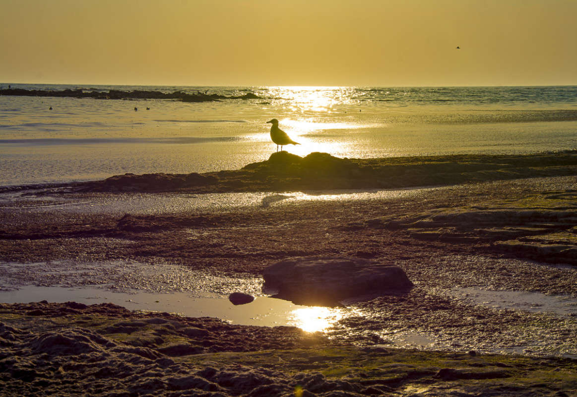 �����. ����� ����� ������ �� PhotoGeek.ru #������ ��� �������