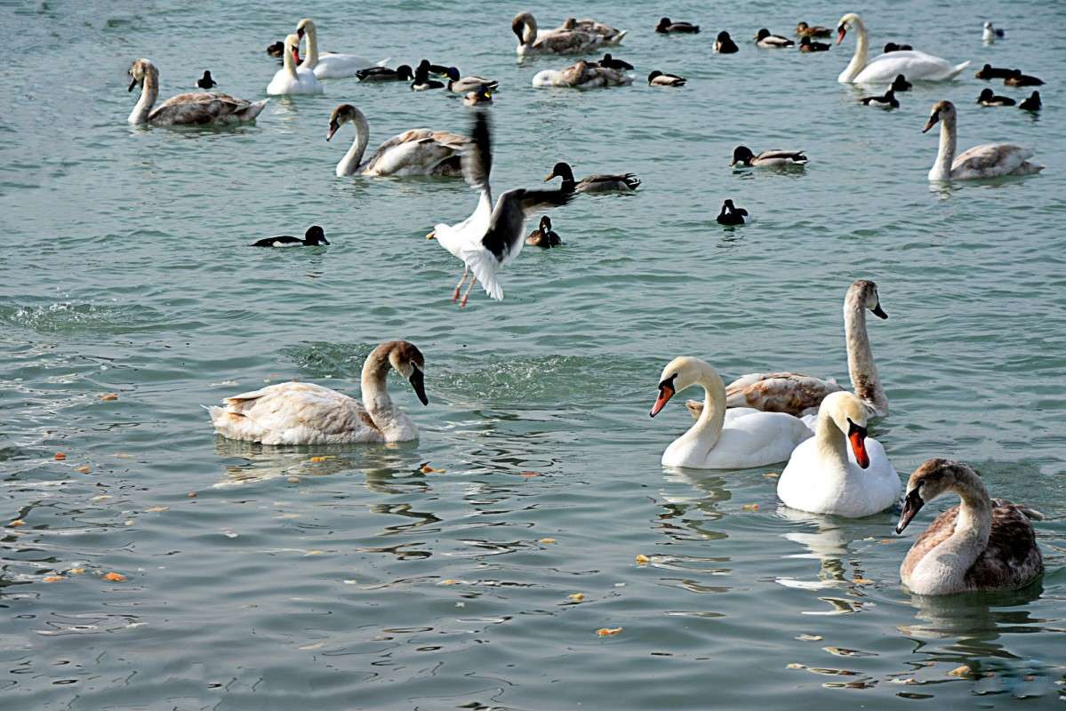 ��������� �� �������. ����� ����� ������ �� PhotoGeek.ru #������ ��� �������