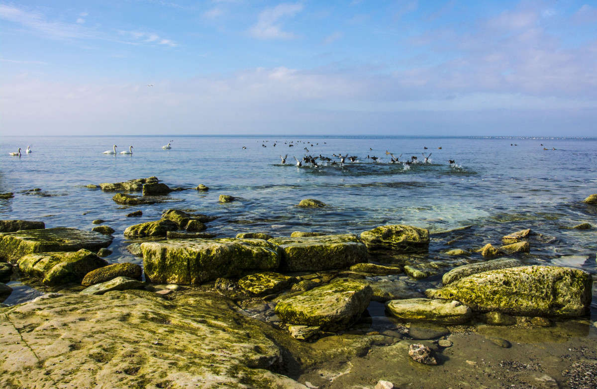 ����! ����� ����� ������ �� PhotoGeek.ru #�������� ����������