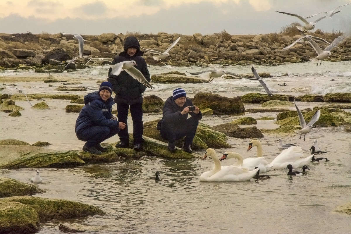 ���������! ����� ����� ������ �� PhotoGeek.ru #�������� ����������