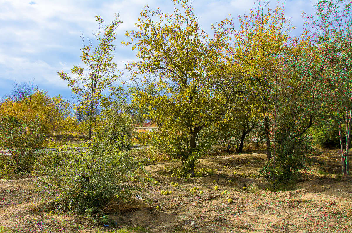 ����� � ������������ ����. ����� ����� ������ �� PhotoGeek.ru #�����