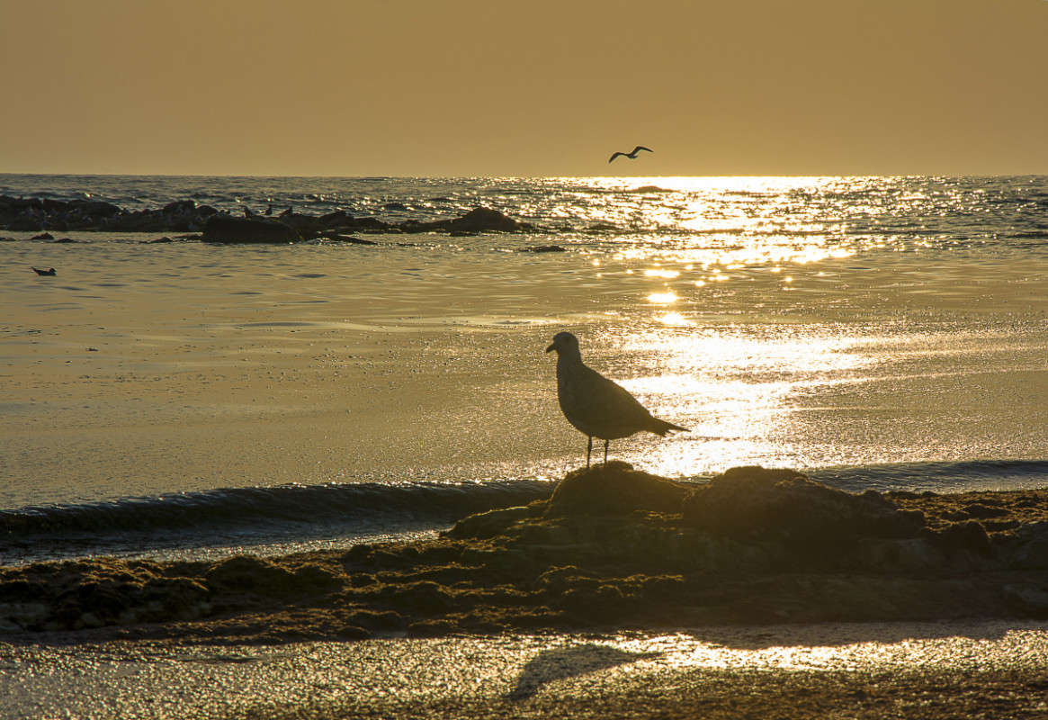 ������. ����� ����� ������ �� PhotoGeek.ru #������ ��� �������