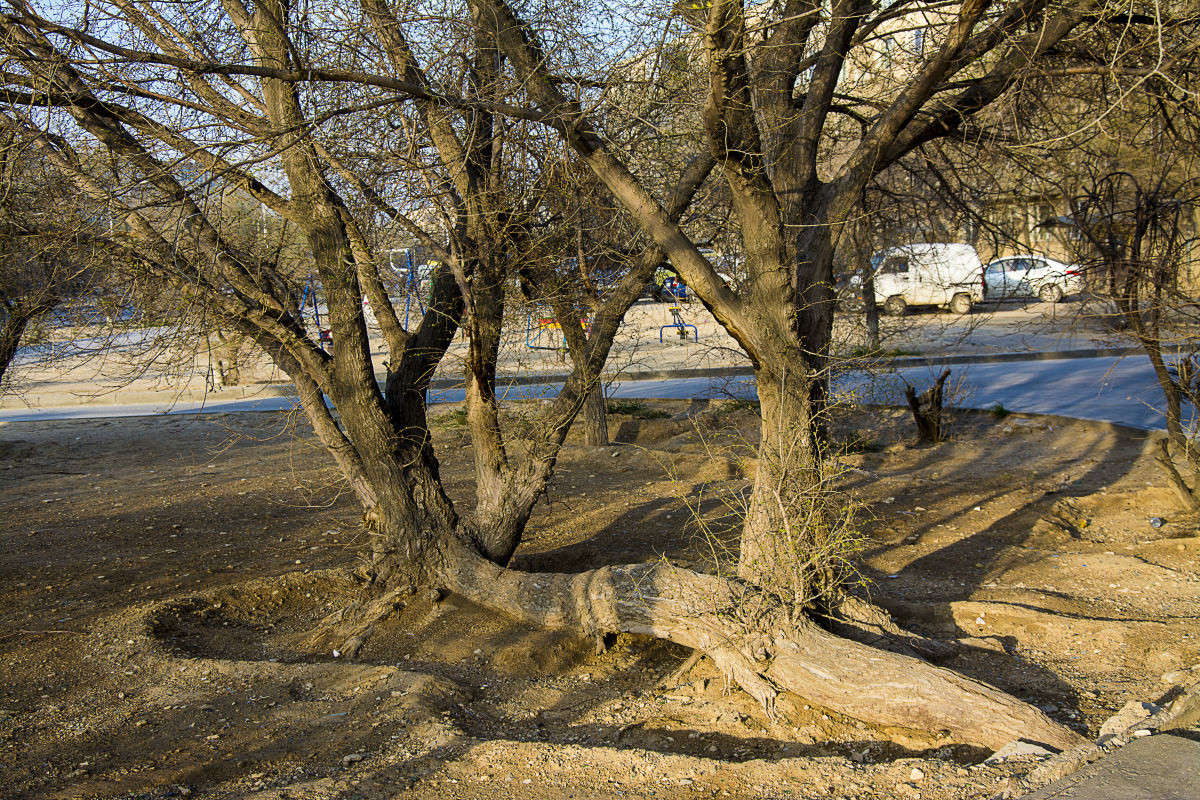 ���� �������� - �� ��� �������������. ����� ����� ������ �� PhotoGeek.ru #�����