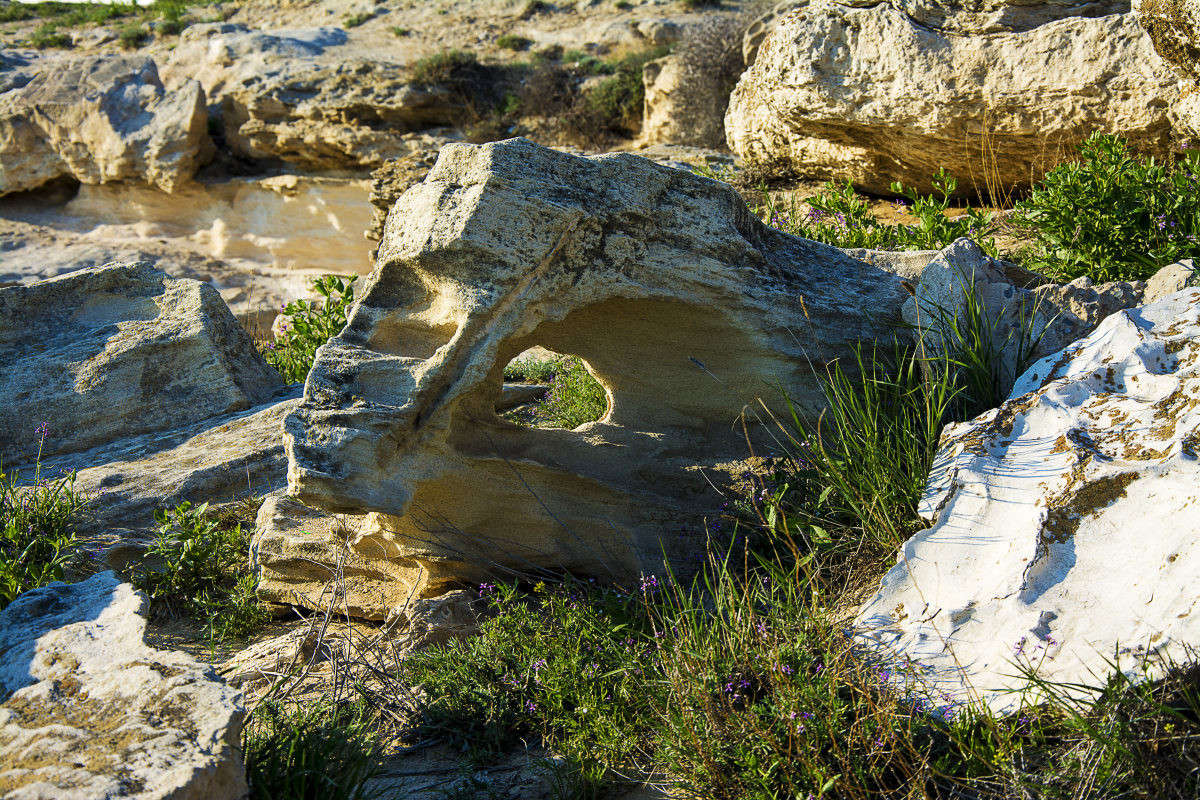 ������ - ������� ���. ����� ����� ������ �� PhotoGeek.ru #�������� ����������