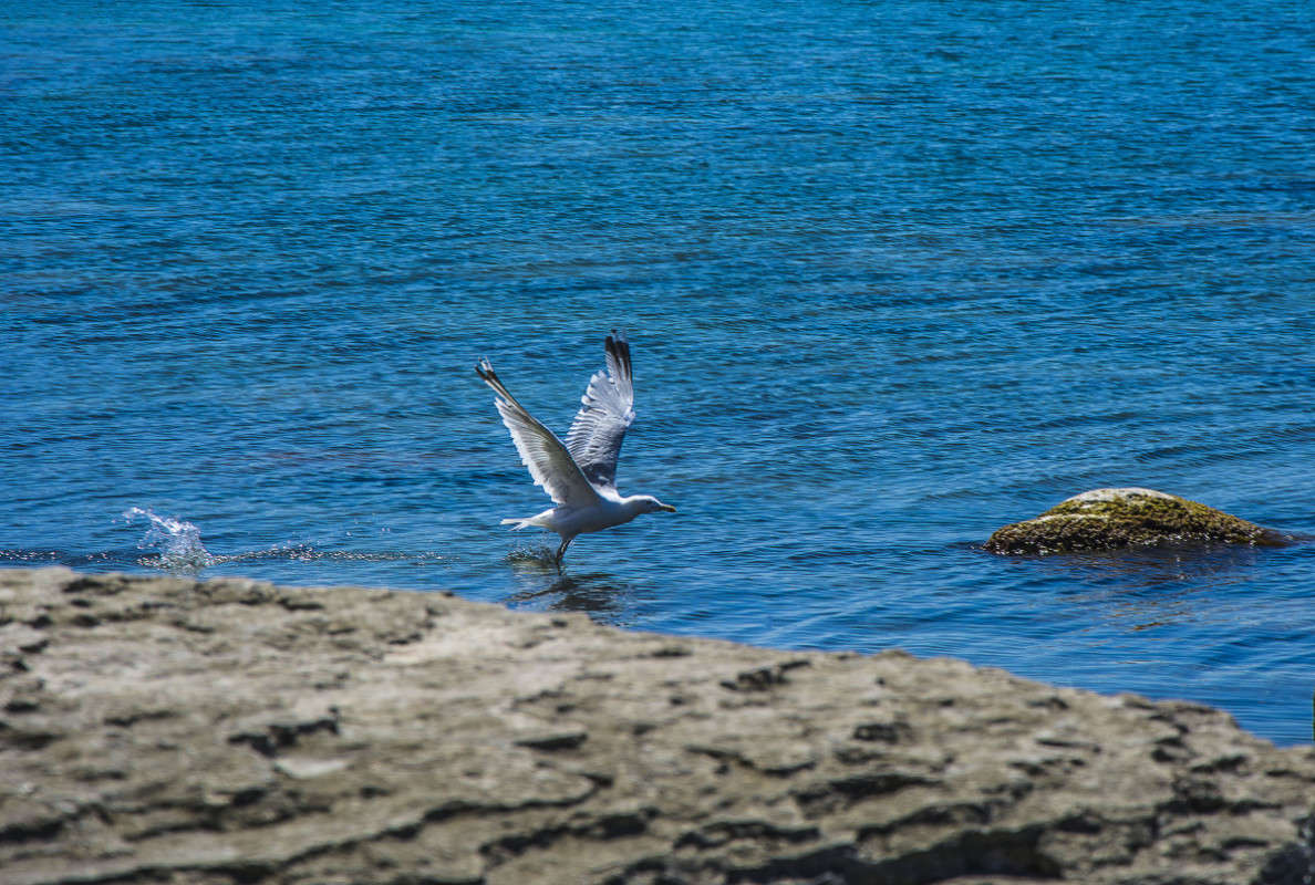 ��� �� ����! ����� ����� ������ �� PhotoGeek.ru #�������� ����������