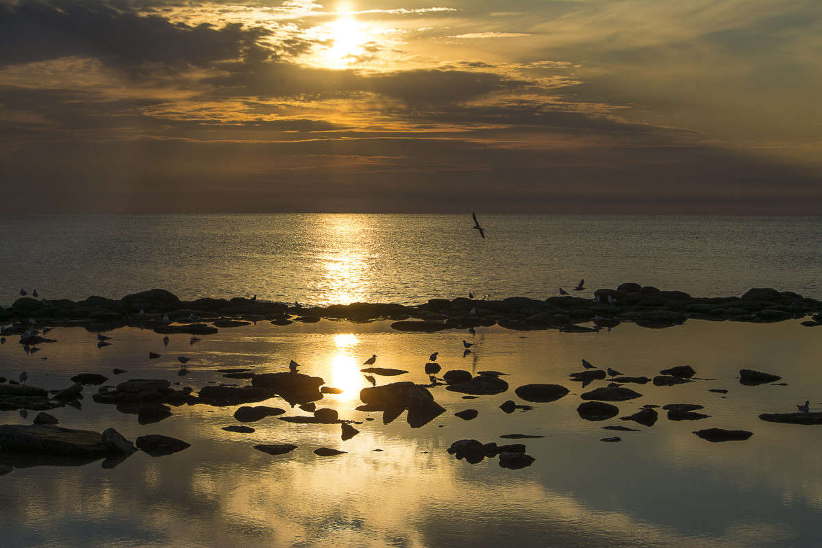 �����. ����� ����� ������ �� PhotoGeek.ru #������ ��� �������