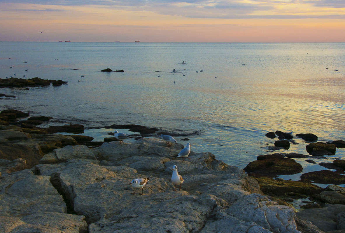 ������. ����� ����� ������ �� PhotoGeek.ru #������ ��� �������