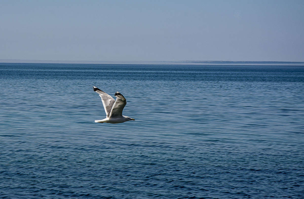 ������. ����� ����� ������ �� PhotoGeek.ru #�������� ����������