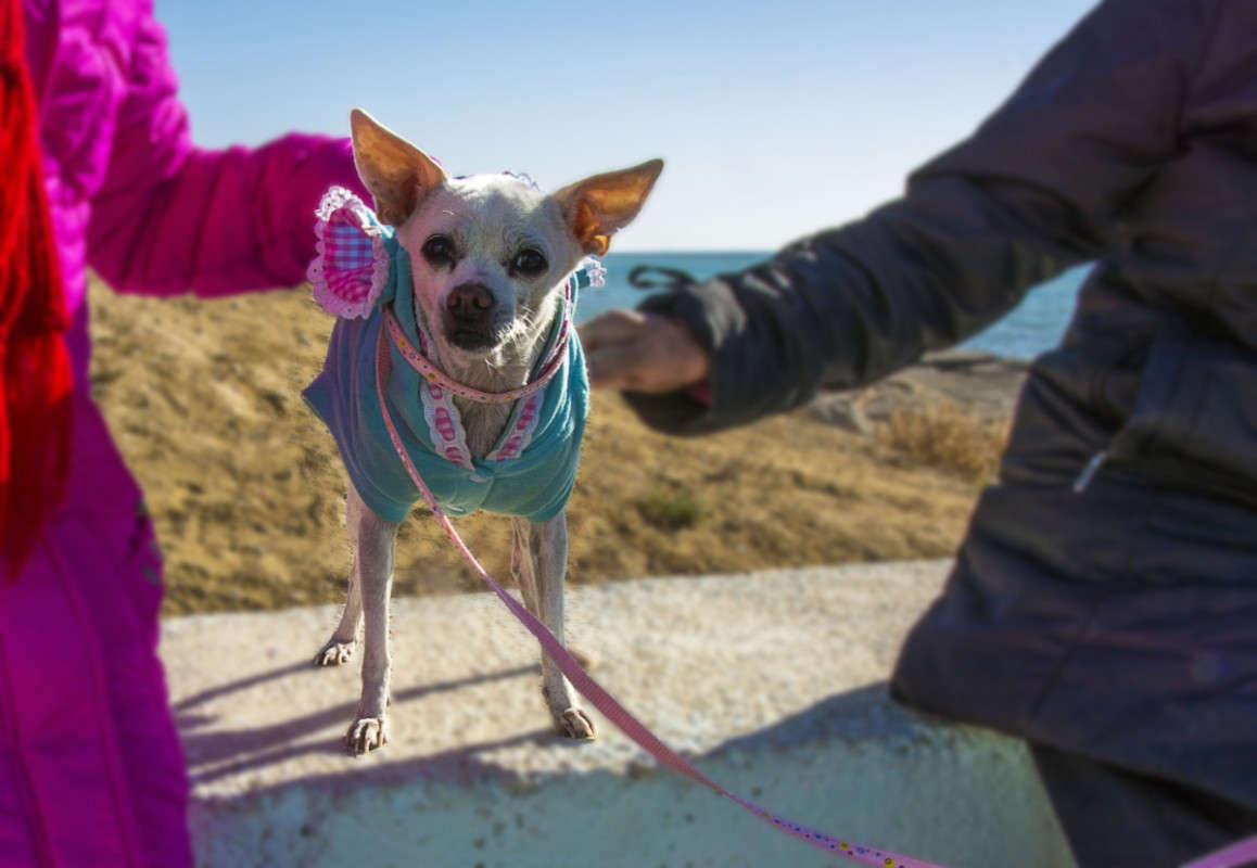 �� ������ ������. ����� ����� ������ �� PhotoGeek.ru #�������� ���