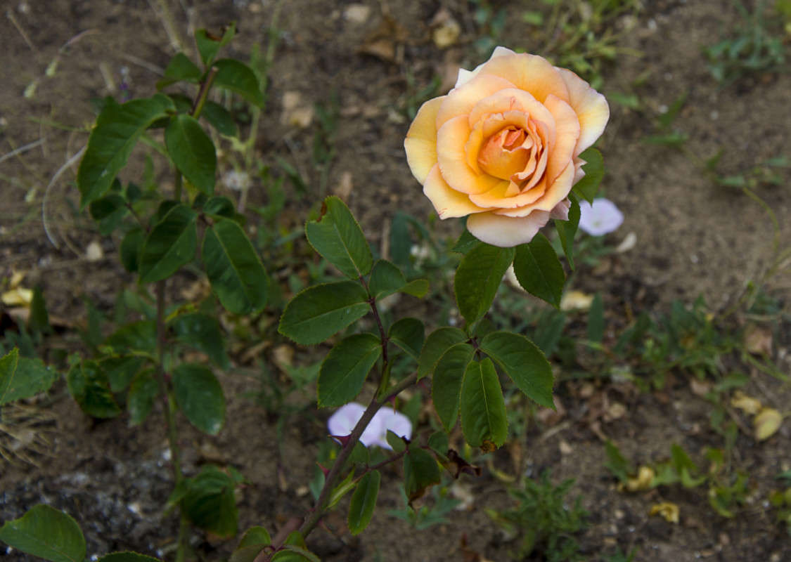 �����. ����� ����� ������ �� PhotoGeek.ru #������ ��� �������