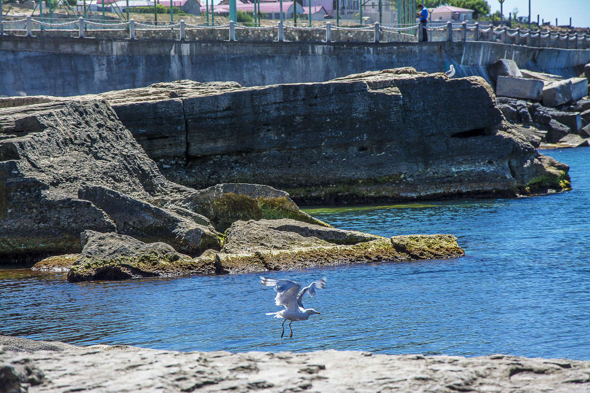 ���������, �������! ����� ����� ������ �� PhotoGeek.ru #�����