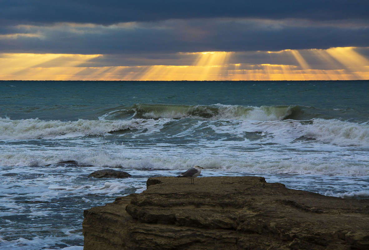 ����� �� ������. ����� ����� ������ �� PhotoGeek.ru #������ ��� �������