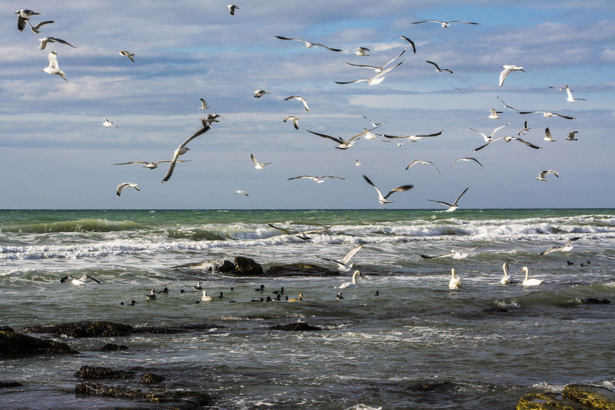 ������. ����� ����� ������ �� PhotoGeek.ru #������ ��� �������