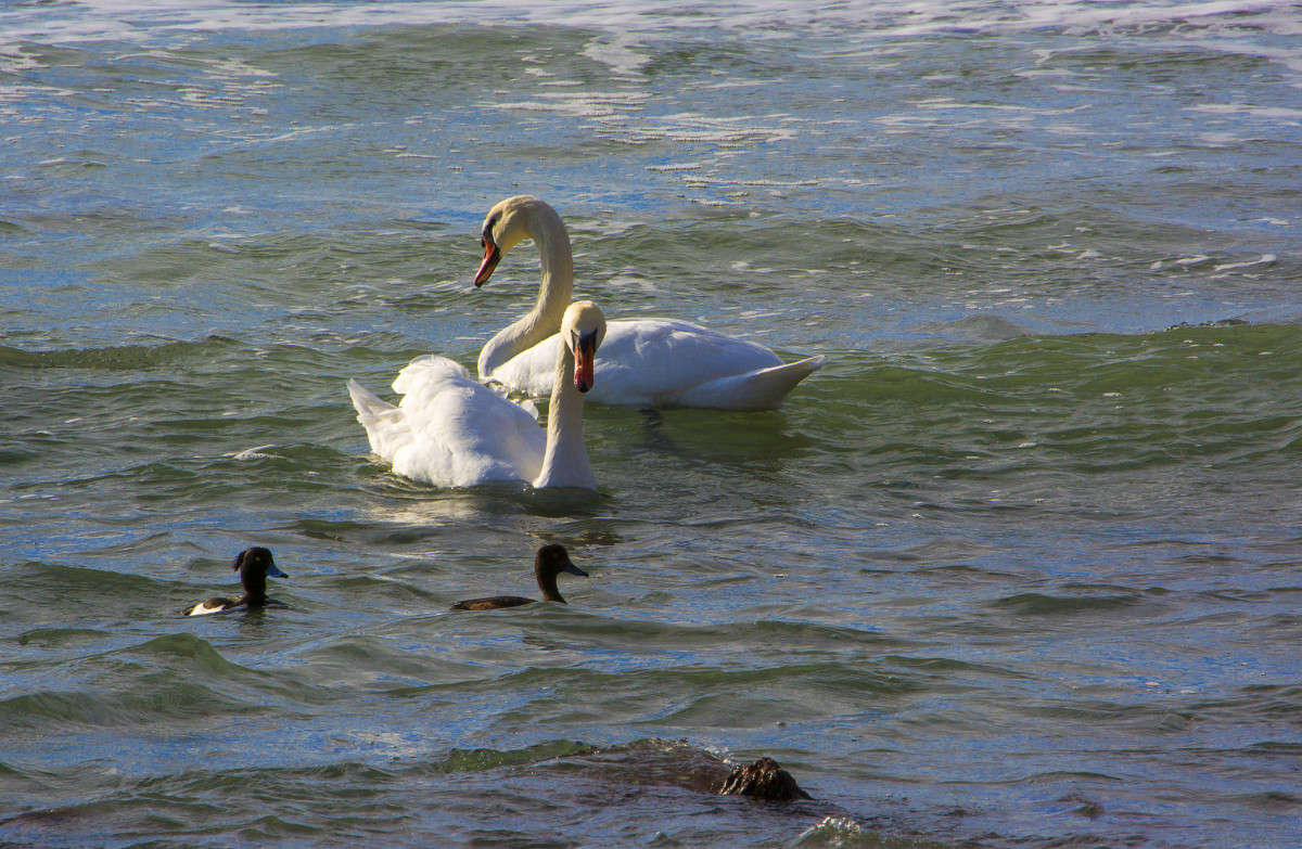 ������. ����� ����� ������ �� PhotoGeek.ru #������ ��� �������