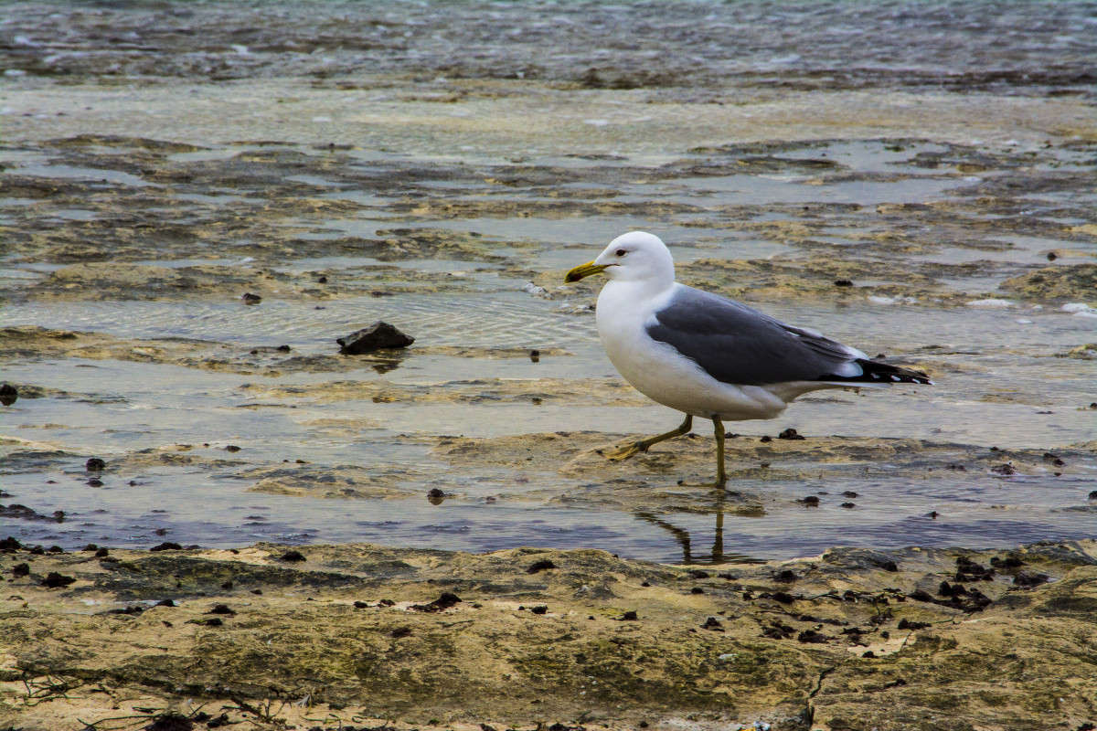 ����������� ������ �� ������� ���������. ����� ����� ������ �� PhotoGeek.ru #������ ��� �������