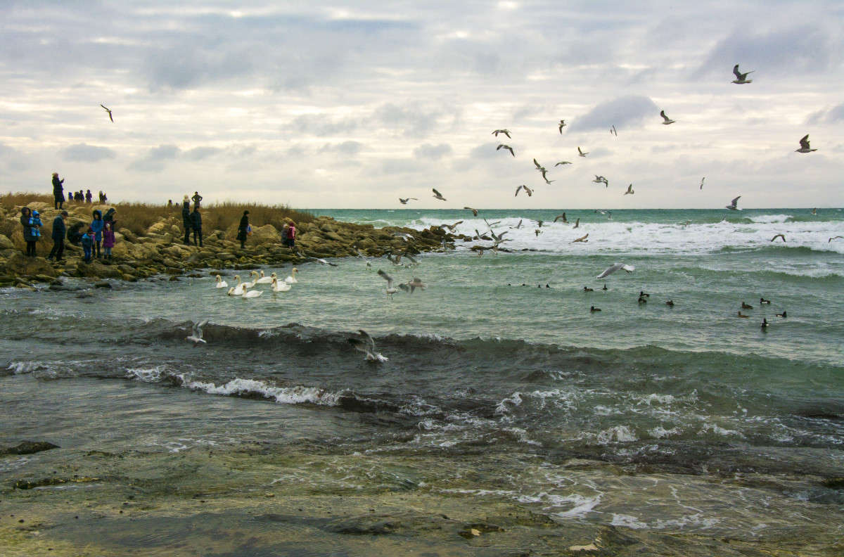 ������. ����� ����� ������ �� PhotoGeek.ru #������ ��� �������