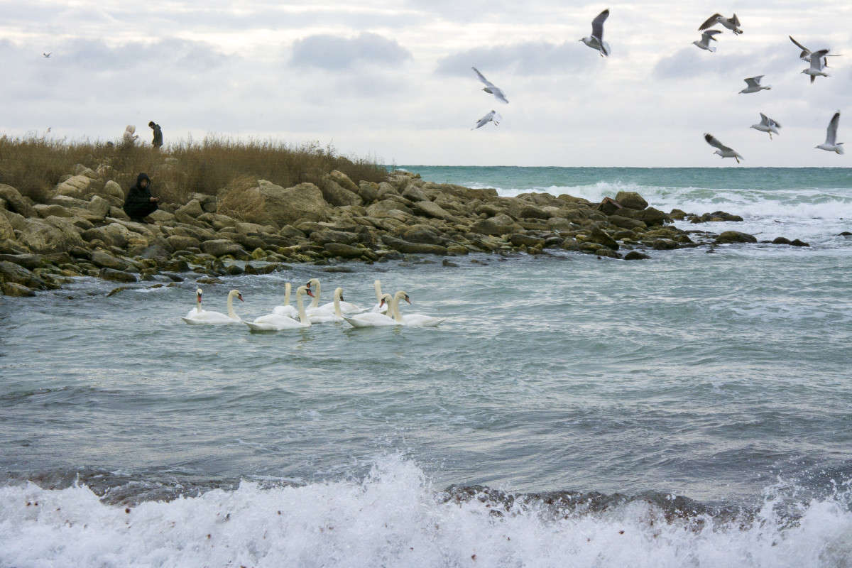 ������. ����� ����� ������ �� PhotoGeek.ru #������ ��� �������