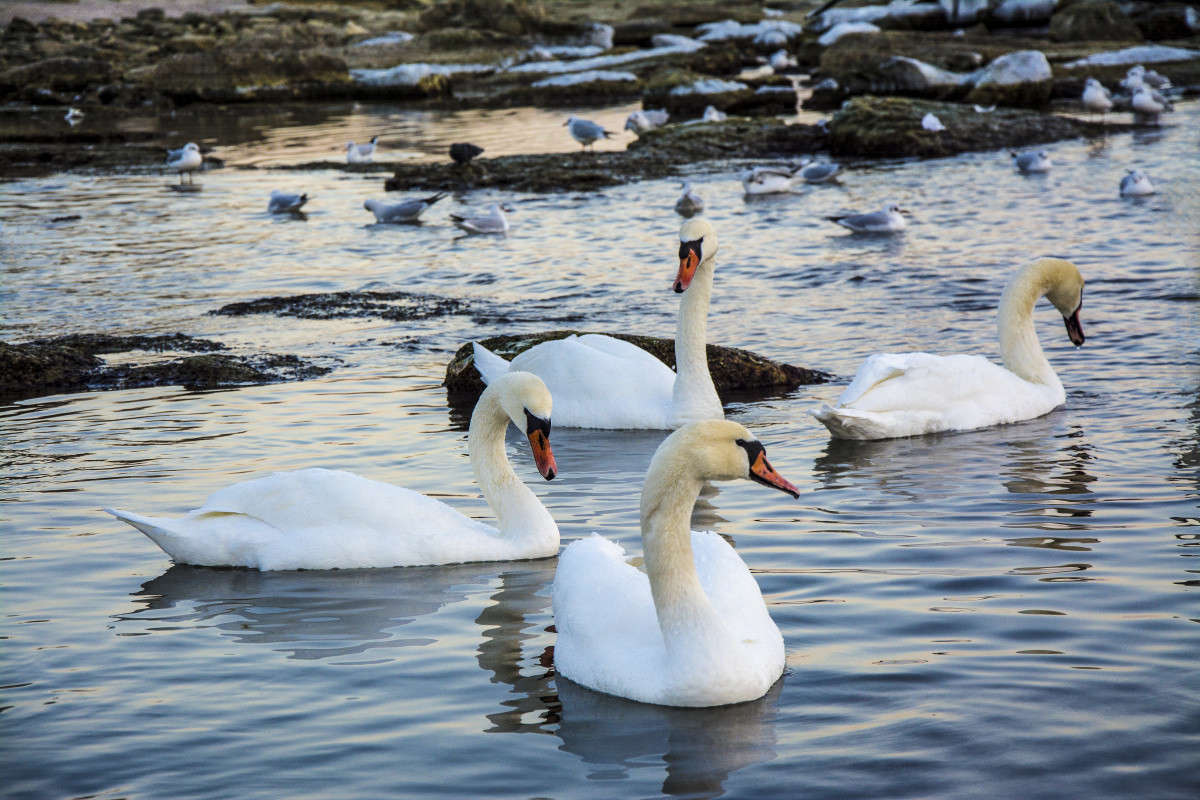 ������. ����� ����� ������ �� PhotoGeek.ru #������ ��� �������